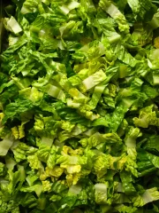Lettuce